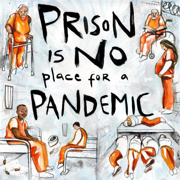 Micah Bazant graphic